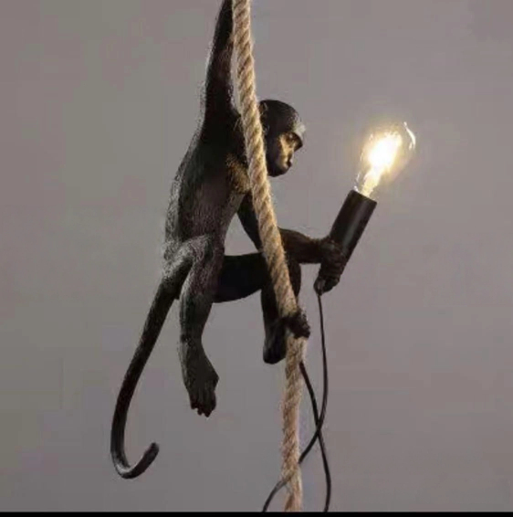 The Swinging Monkey Rope Pendant